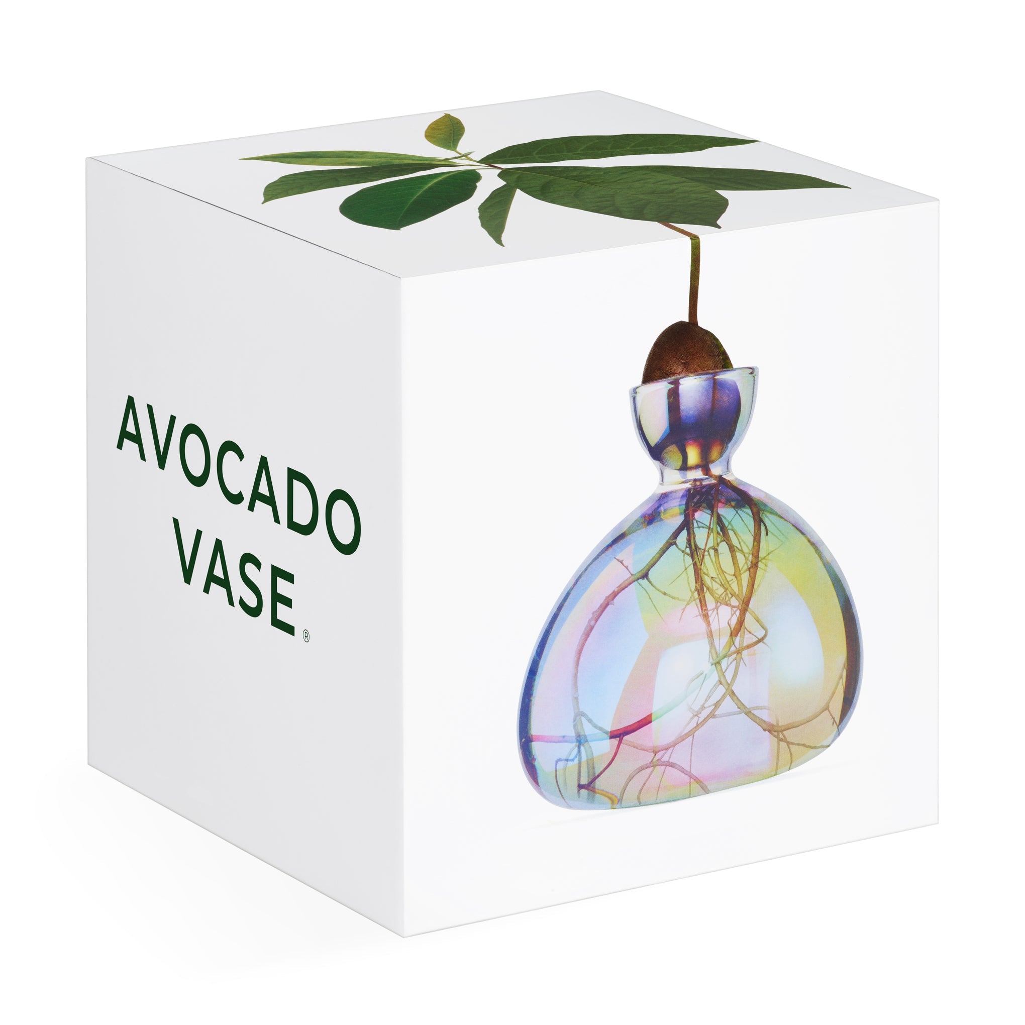 Avocado Vase - iridescent