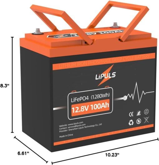 12.8V 100Ah LiFePO4 Lithium Deep Cycle Battery, Group 24 Size with Built-in 100A BMS, Max.1280Wh Lithium Iron Phosphate Battery - Image 2